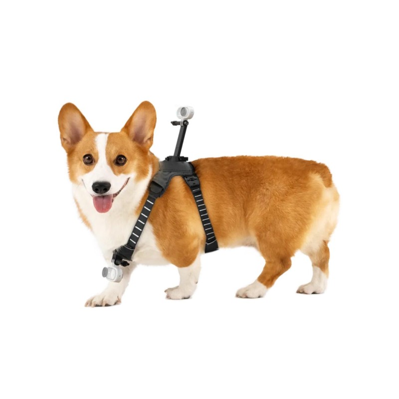 Insta360 Go 3 Go 3S Pet Harness Mount - Size M — Buy in Cyprus with Fast Delivery