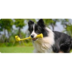 Insta360 GO Fetch Stick - GO 3 - Fetch Stick — Buy in Cyprus with Fast Delivery