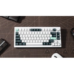Keychron Q1 HE - Q1H-P1 - QMK White Wireless Custom Hall Effect Keyboard Purple Switch 75% US Layout