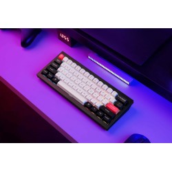 Keychron Q4 HE - Q4H-C1 - QMK Wireless Custom Hall Effect Keyboard Purple Switch 60% US Layout