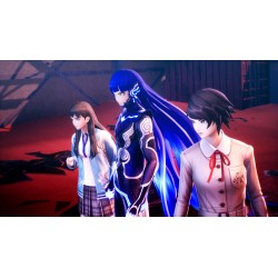 Shin Megami Tensei V: Vengeance Switch — Buy in Cyprus with Fast Delivery