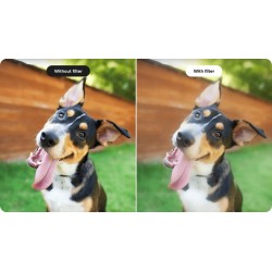 Insta360 Black Mist Filter - Ace Pro 2 - For cinematic shots — Buy in Cyprus with Fast Delivery