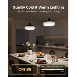 Govee Lamp Ceiling Smart LED Pendant Light - H60C13F1 - RGBICWW + RGBICWW — Buy in Cyprus with Fast Delivery