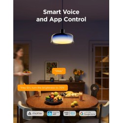 Govee Lamp Ceiling Smart LED Pendant Light - H60C13F1 - RGBICWW + RGBICWW — Buy in Cyprus with Fast Delivery