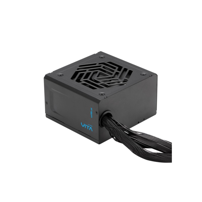 FSP Fortron Vita PPA6506804 - 650W 80 PLUS Gold ATX 3.1 Ready, Non-Modular, Black Flat Cables