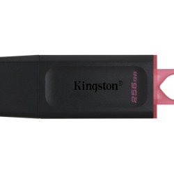 Kingston DataTraveler Exodia - DTX - 256GB USB 3.2 Gen1 (USB-A) - Black / Pink — Buy in Cyprus with Fast Delivery