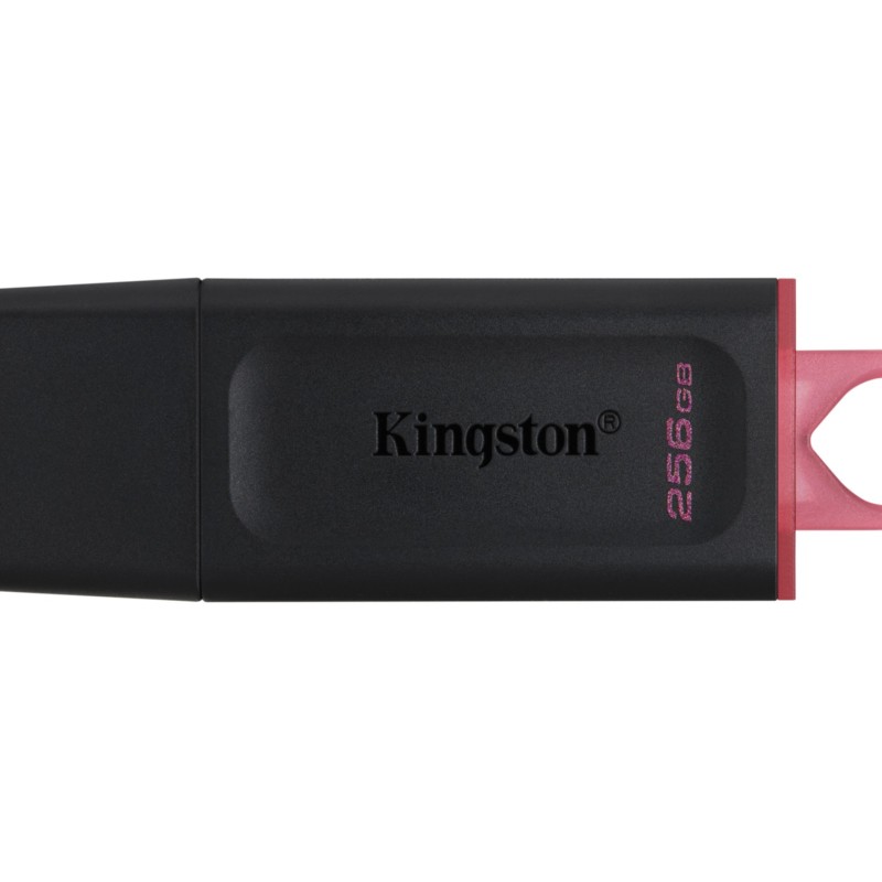 Kingston DataTraveler Exodia - DTX - 256GB USB 3.2 Gen1 (USB-A) - Black / Pink — Buy in Cyprus with Fast Delivery