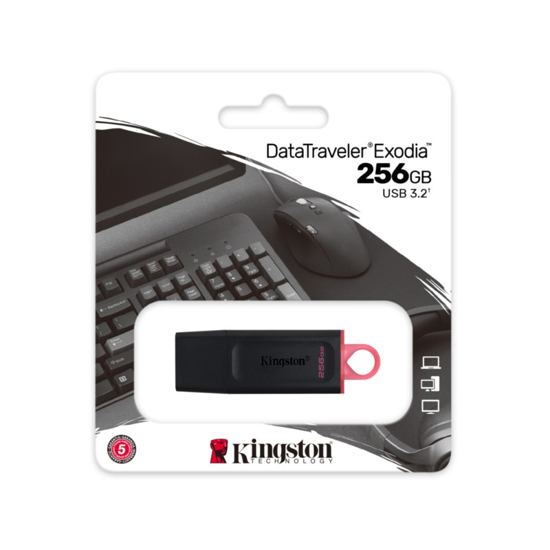 Kingston DataTraveler Exodia - DTX - 256GB USB 3.2 Gen1 (USB-A) - Black / Pink — Buy in Cyprus with Fast Delivery