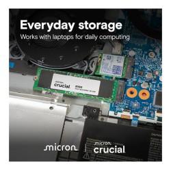 Crucial E100 - CT1000E100SSD8 - 1TB M.2 2280 NVMe PCIe 4.0 x4 SSD, 5000/4500 MB/s — Buy in Cyprus with Fast Delivery