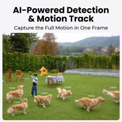 Reolink PRO IP POE Dual Illumination 16.0MP Dome 2.8mm Dual Camera SED RP-PCT16MD — Buy in Cyprus with Fast Delivery