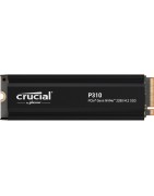 Crucial P310 1TB M.2 NVMe Gen4 SSD w/ Heatsink | 7100 MB/s — Armenius Store Cyprus