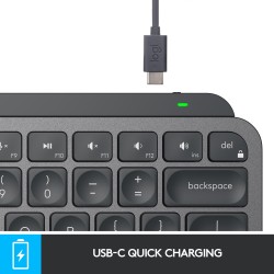 Logitech MX Keys Mini - MX Keys Mini - Graphite, German QWERTZ, LED Backlit, Wireless — Buy in Cyprus with Fast Delivery