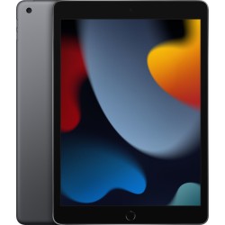 Apple iPad 10.2 Wi-Fi 256GB Space Gray 9th Gen - A13 Bionic — Buy in Cyprus with Fast Delivery