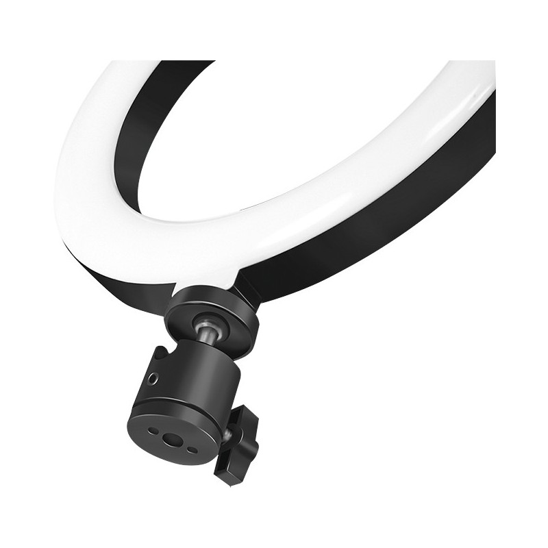 Logilink Smartphone Ring Light - Characteristics (20 cm diameter, 1.8 m USB cable) — Buy in Cyprus with Fast Delivery