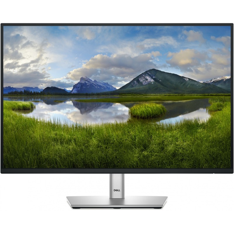 Dell P2425 24-inch IPS monitor - P2425 - Flat, 1920x1200, 100 Hz, 5 ms, HDMI DP USB-C, Black Silver