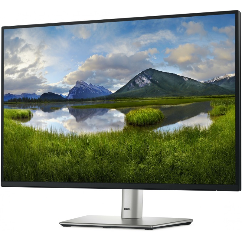 Dell P2425 24-inch IPS monitor - P2425 - Flat, 1920x1200, 100 Hz, 5 ms, HDMI DP USB-C, Black Silver
