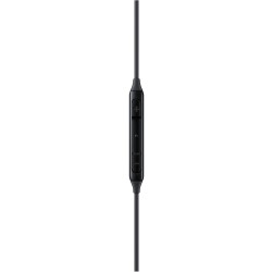 Samsung Earphones USB-C EO-IC100 in-ear - EO-IC100 - Black, USB-C wired — Buy in Cyprus with Fast Delivery
