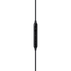 Samsung Earphones USB-C EO-IC100 in-ear - EO-IC100 - Black, USB-C wired — Buy in Cyprus with Fast Delivery