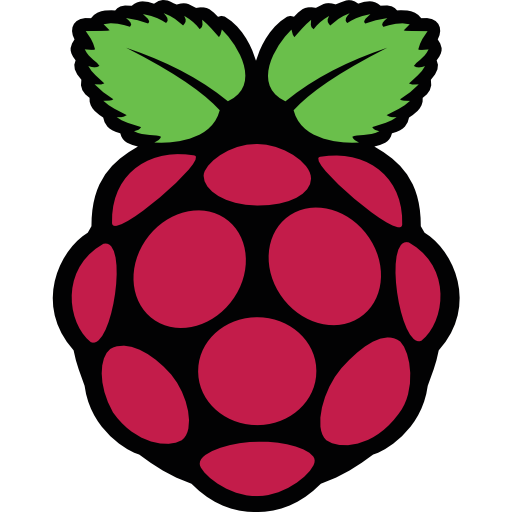 RASPBERRY PI